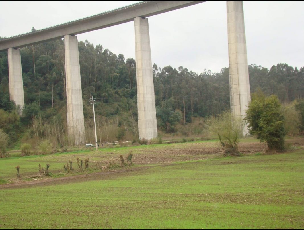 Jornal de Albergaria - Homem Atira Se Da Ponte Do Ic2