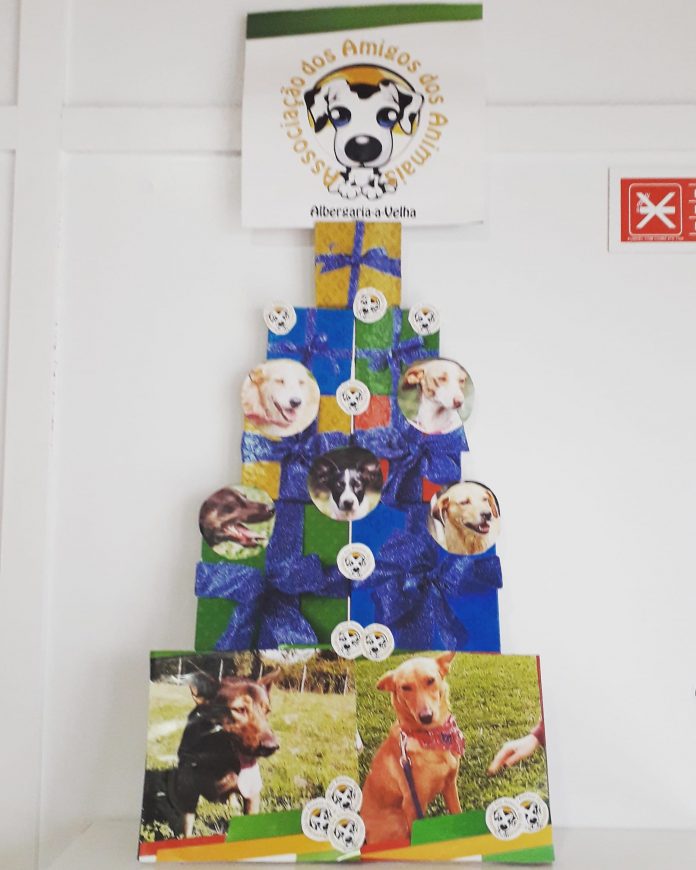 Jornal de Albergaria - Clinica Natal